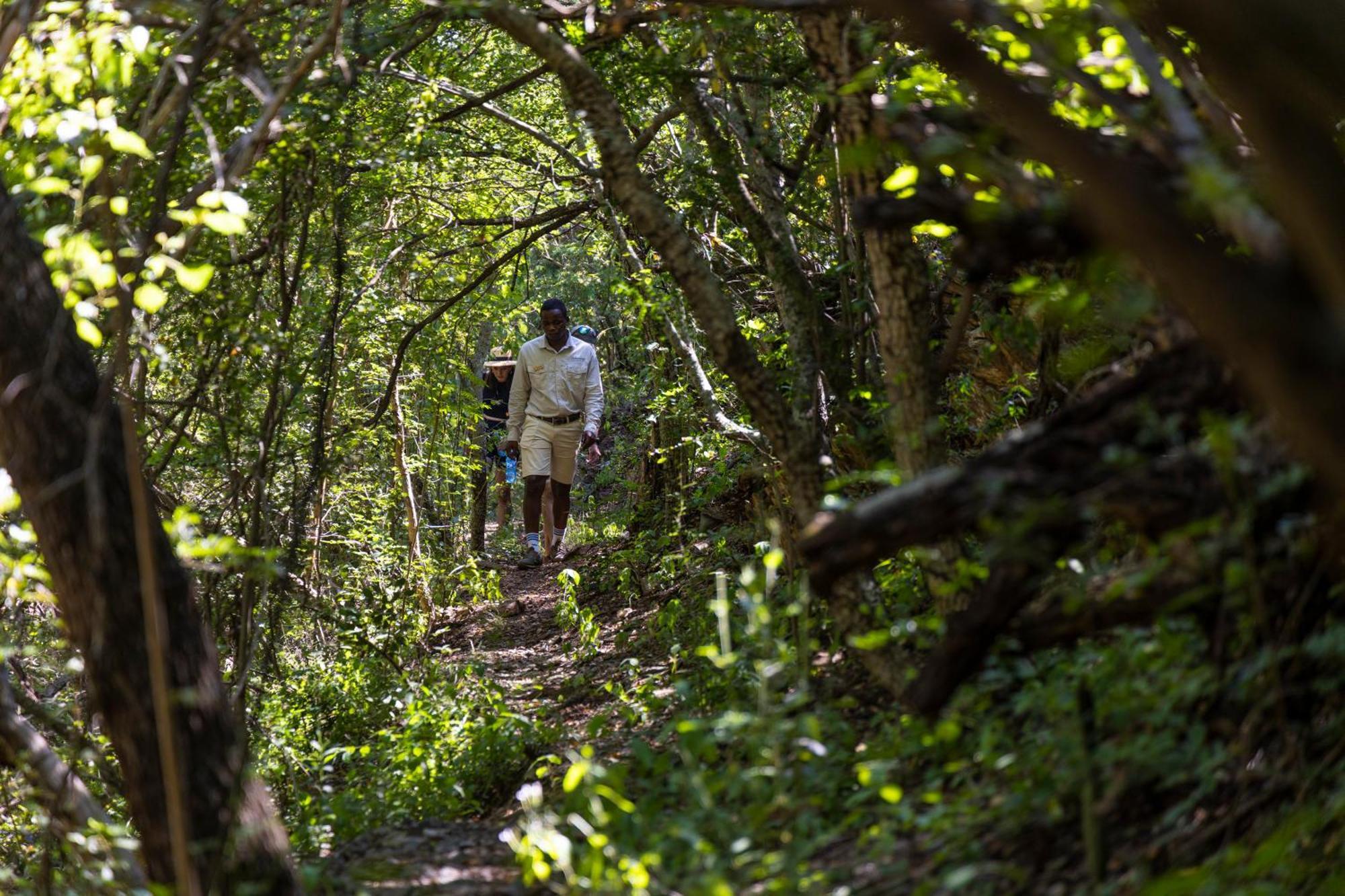 Matatane Camp - Babanango Game Reserve Nkwalini 외부 사진